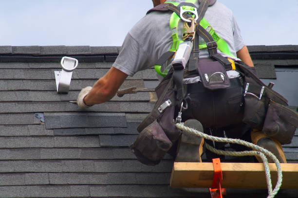 Best Shingle Roofing Installation  in Three Oaks, FL