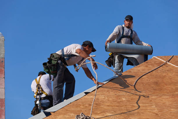 Best Commercial Roofing Services  in Three Oaks, FL